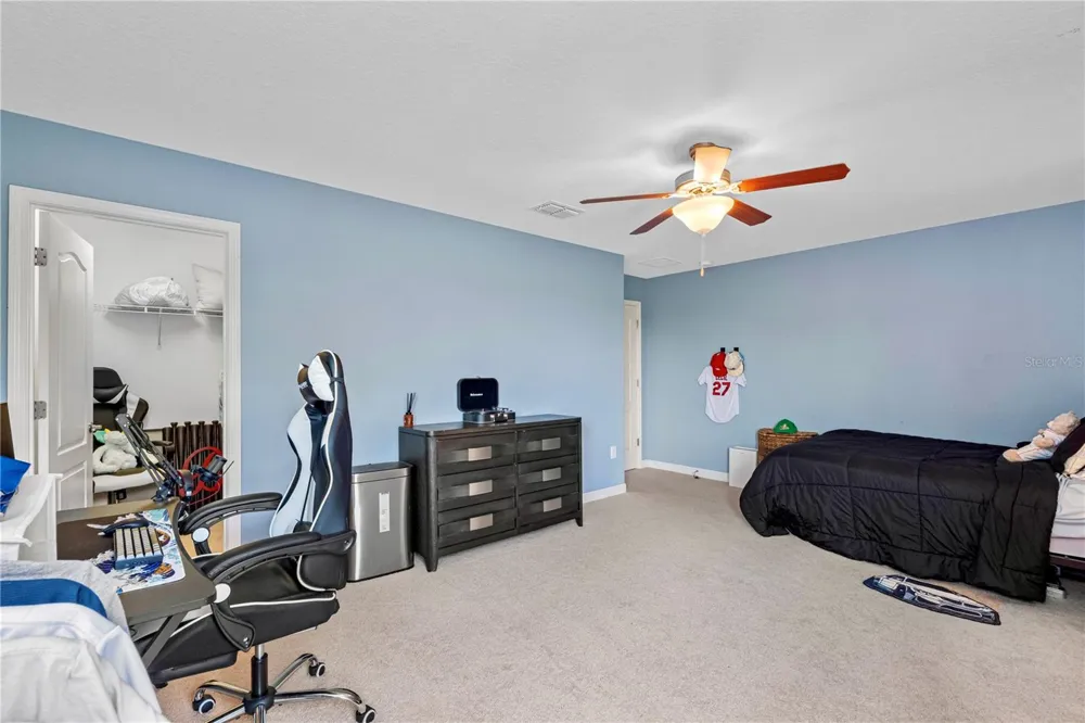 19343 PADDOCK VIEW DRIVE Tampa, FL 33647
