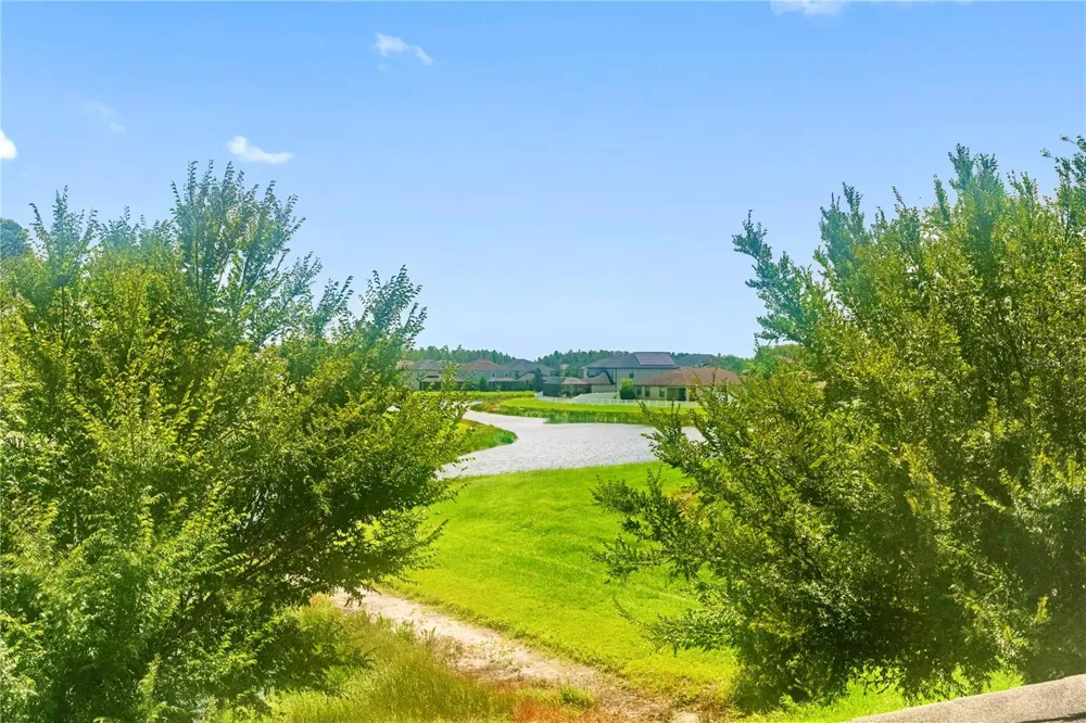 19343 PADDOCK VIEW DRIVE Tampa, FL 33647