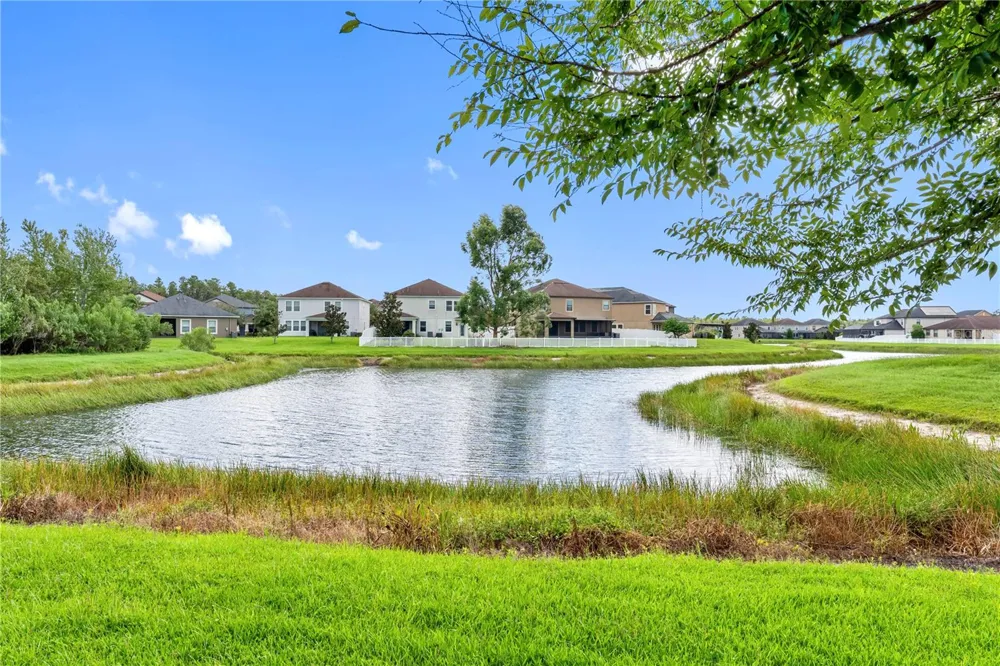 19343 PADDOCK VIEW DRIVE Tampa, FL 33647