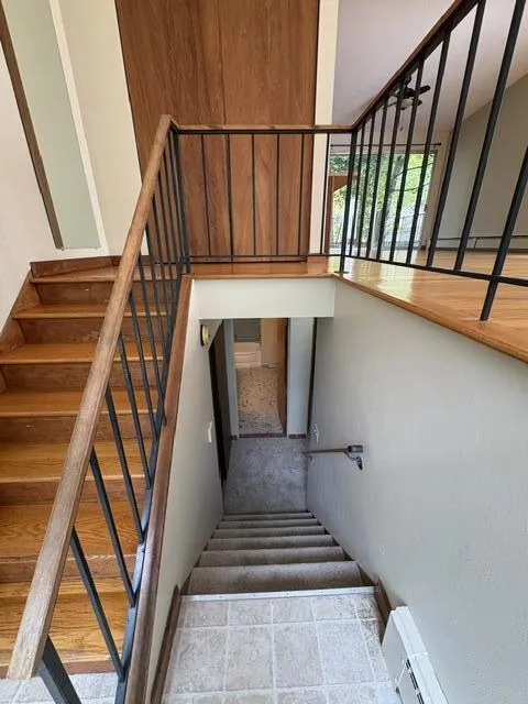 1011 Olivia Avenue Ann Arbor, MI 48104