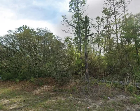 7745 MALTESE DRIVE