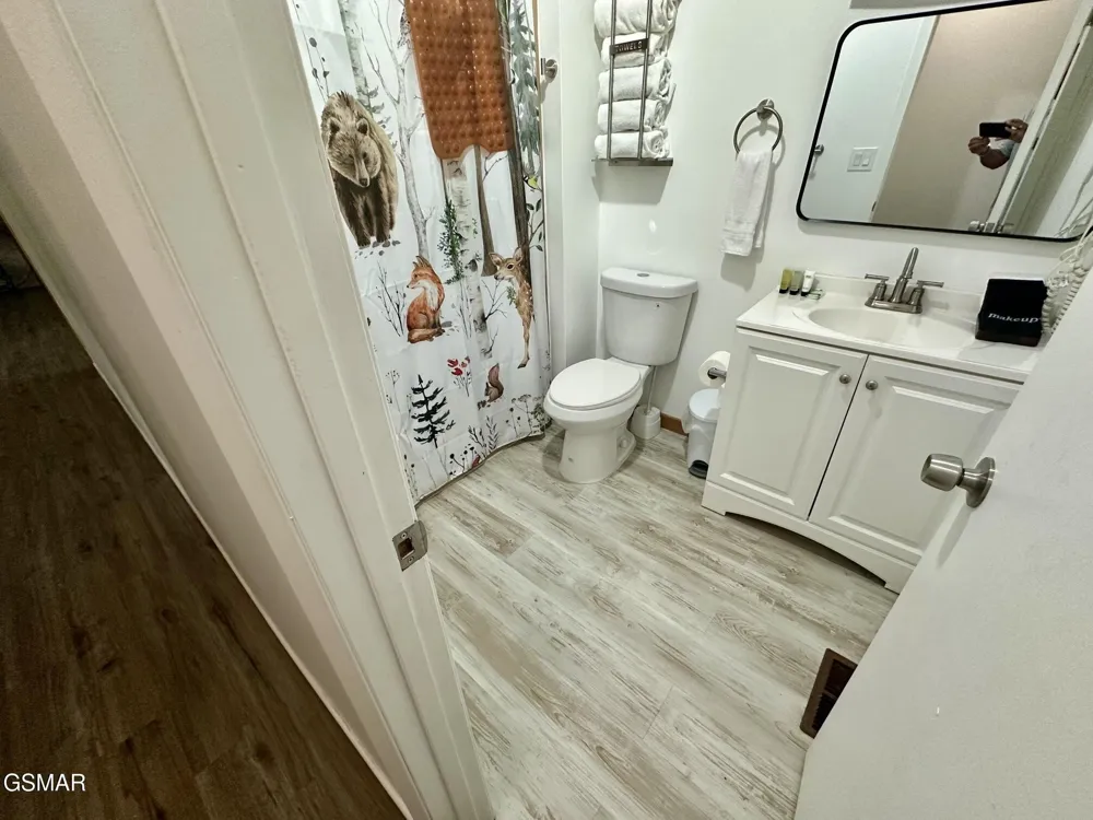 2669 High Valley Drive Pigeon Forge, TN 37863