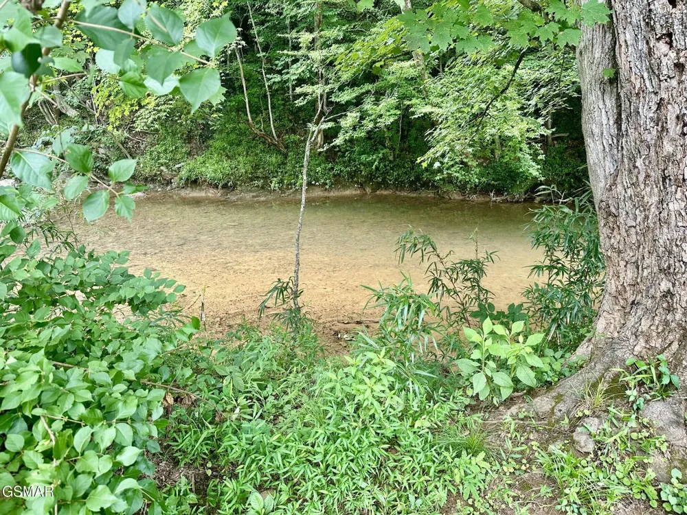 2669 High Valley Drive Pigeon Forge, TN 37863