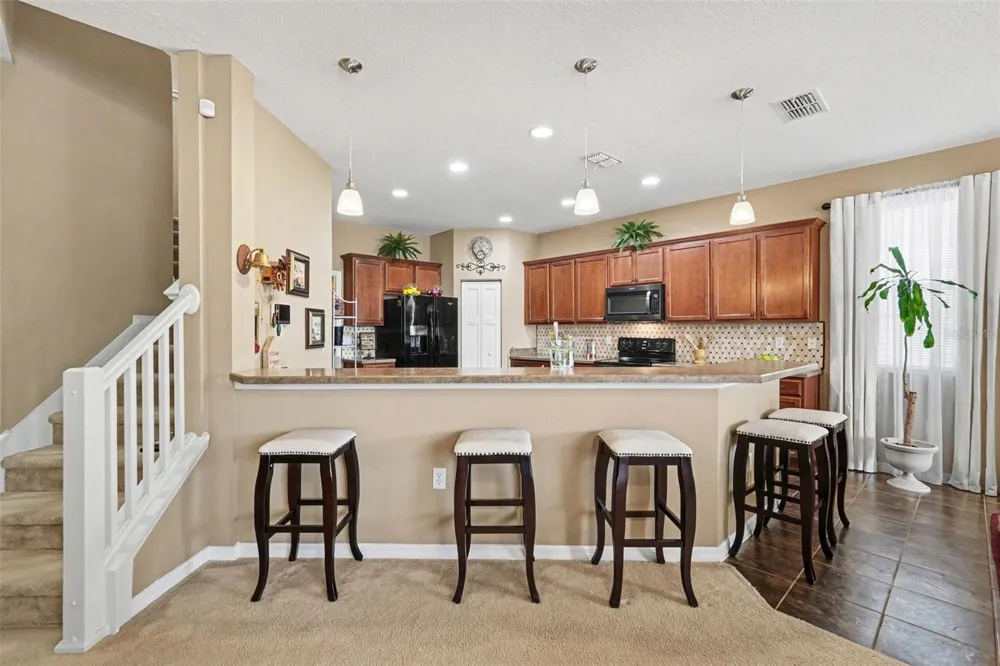 7620 TANGLE RUSH DRIVE Gibsonton, FL 33534