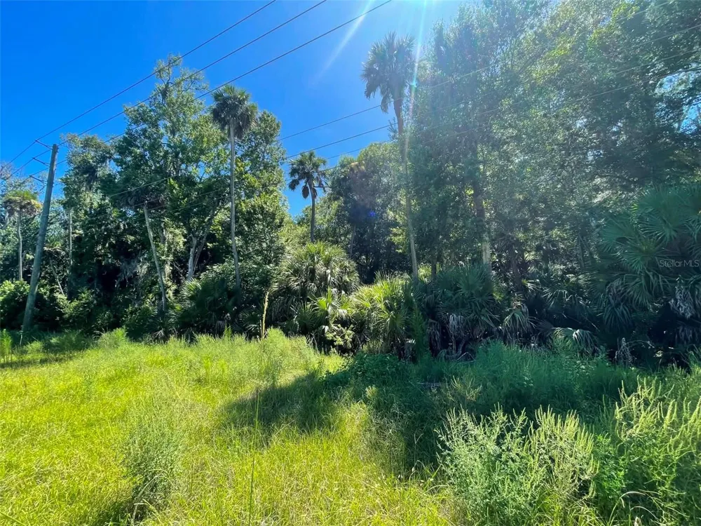 OLD MISSION ROAD New Smyrna Beach, FL 32168