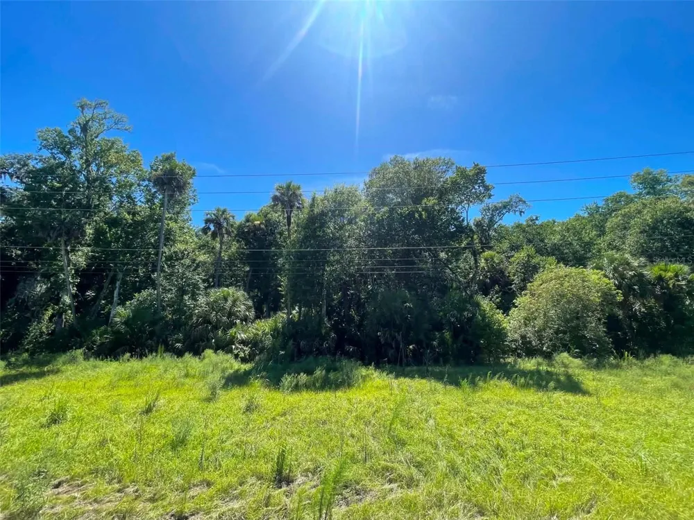 OLD MISSION ROAD New Smyrna Beach, FL 32168