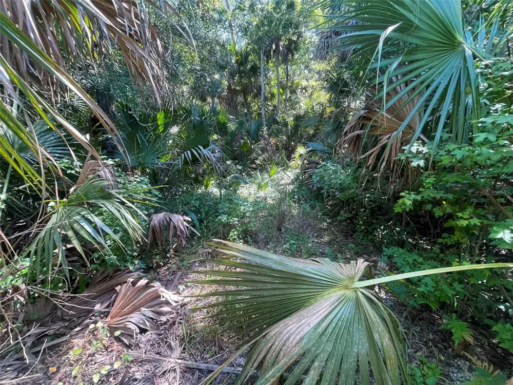 OLD MISSION ROAD New Smyrna Beach, FL 32168