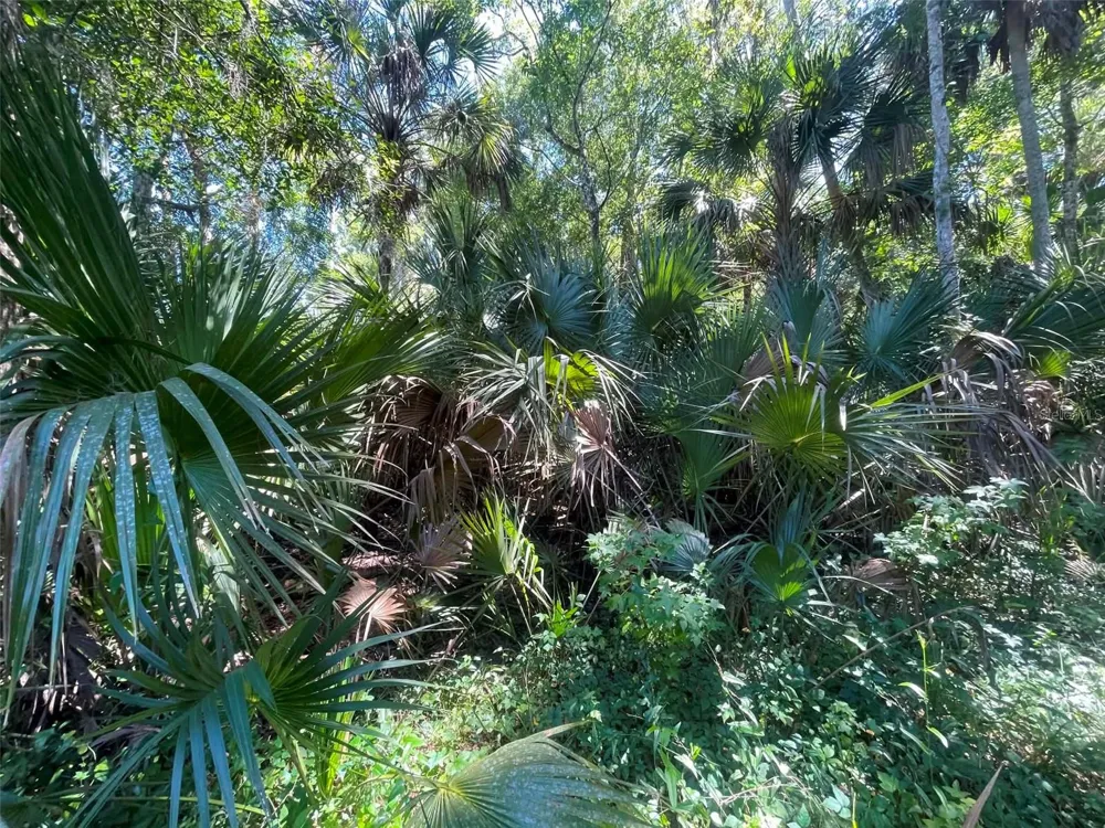 OLD MISSION ROAD New Smyrna Beach, FL 32168