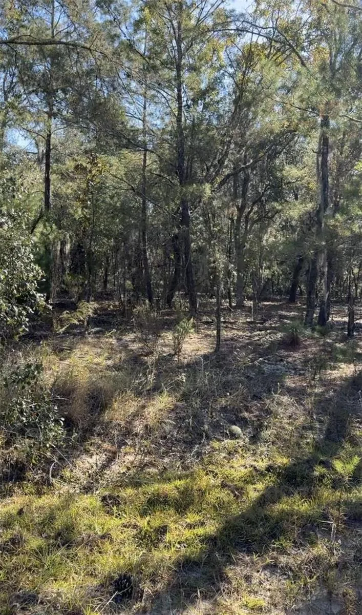 204 WALES STREET Interlachen, FL 32148