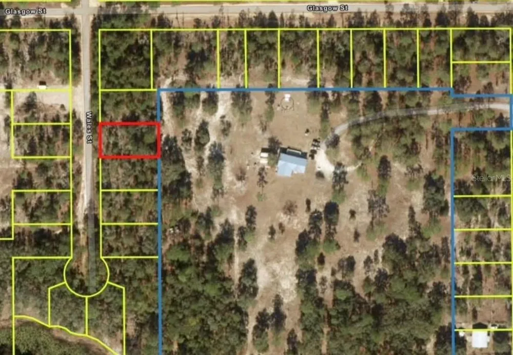 204 WALES STREET Interlachen, FL 32148