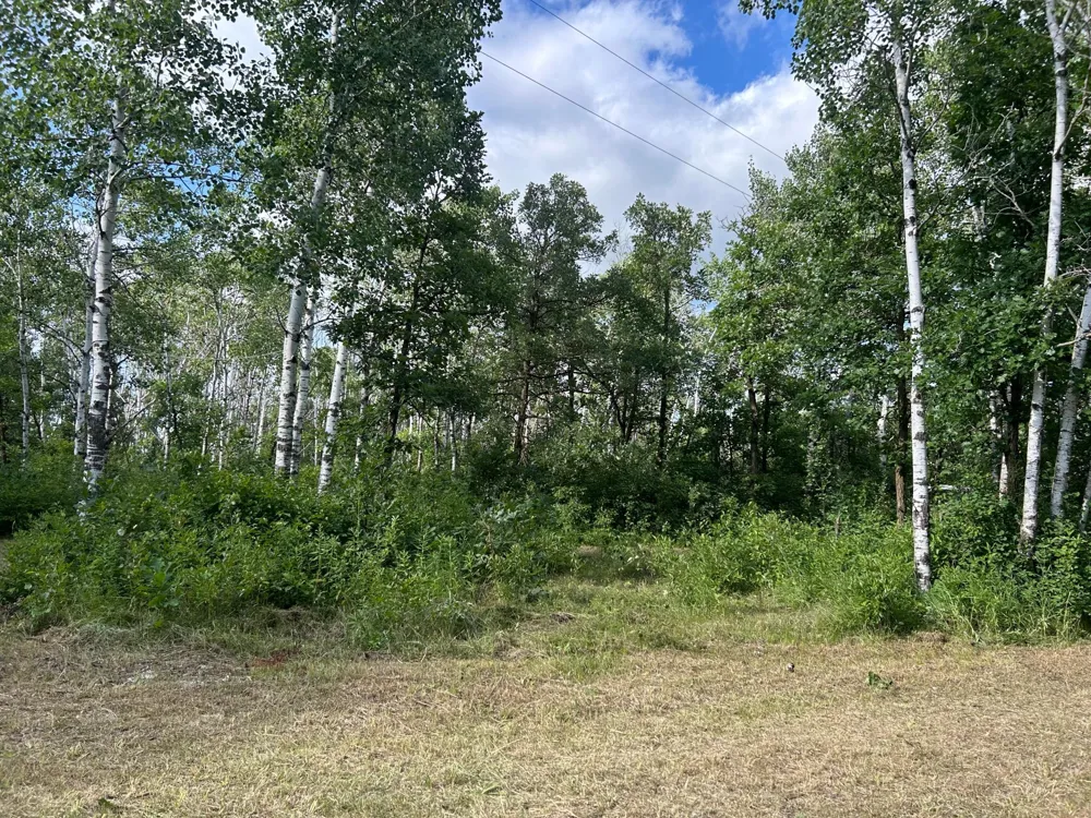XXX 450th Street NW Karlstad, MN 56732