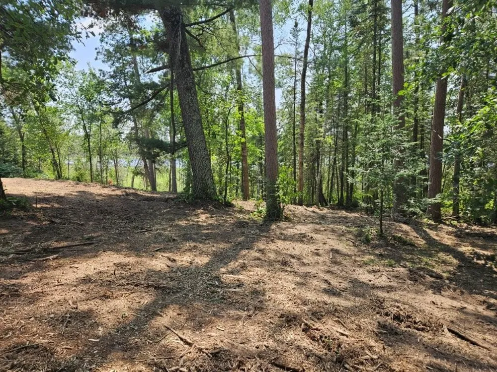 TBD 330th Street Shevlin, MN 56676