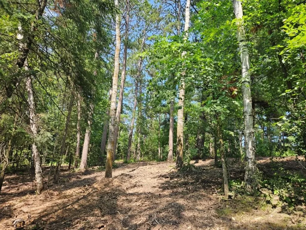 TBD 330th Street Shevlin, MN 56676