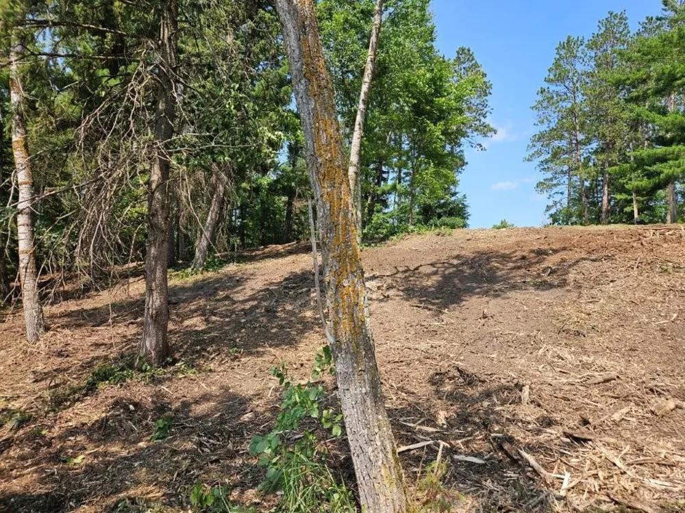 TBD 330th Street Shevlin, MN 56676