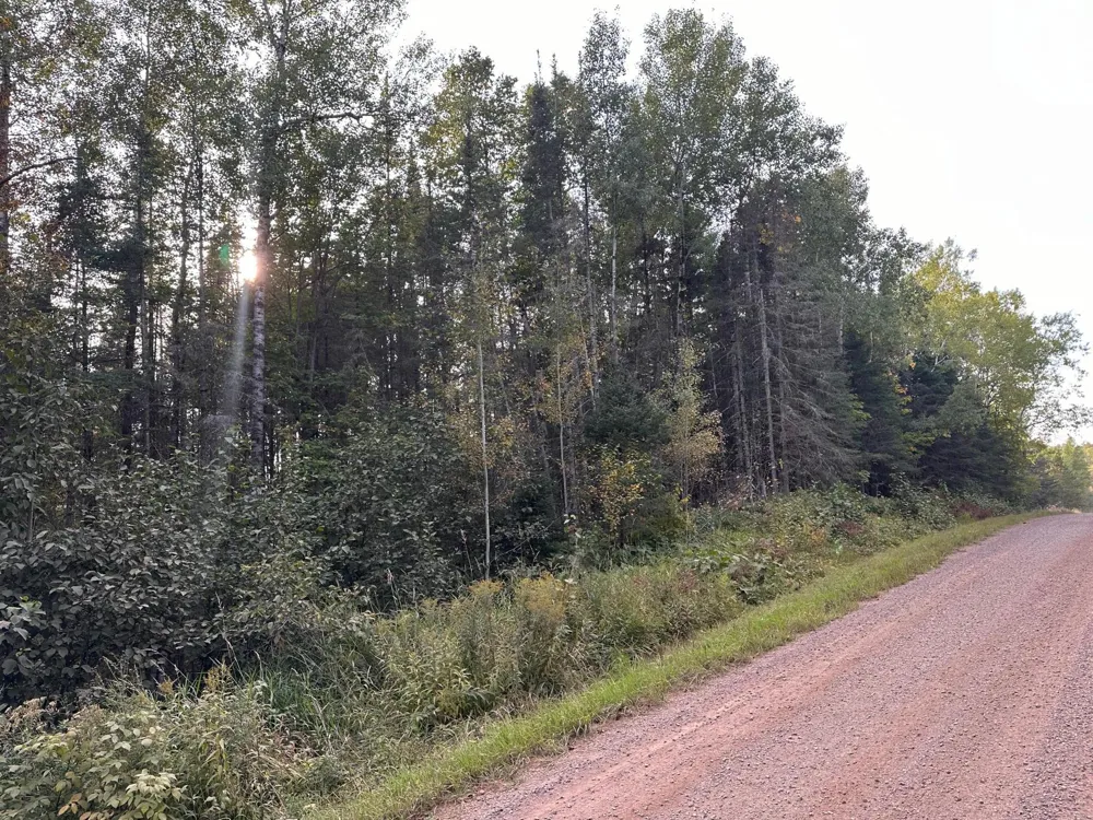TBD Old Vermilion Trail Duluth, MN 55803