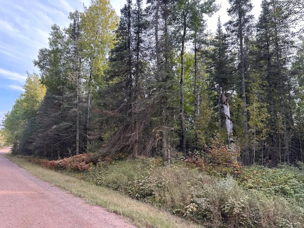 TBD Old Vermilion Trail Duluth, MN 55803