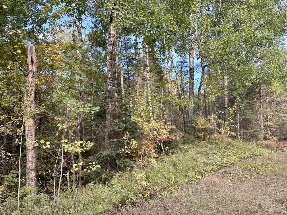 TBD Old Vermilion Trail Duluth, MN 55803