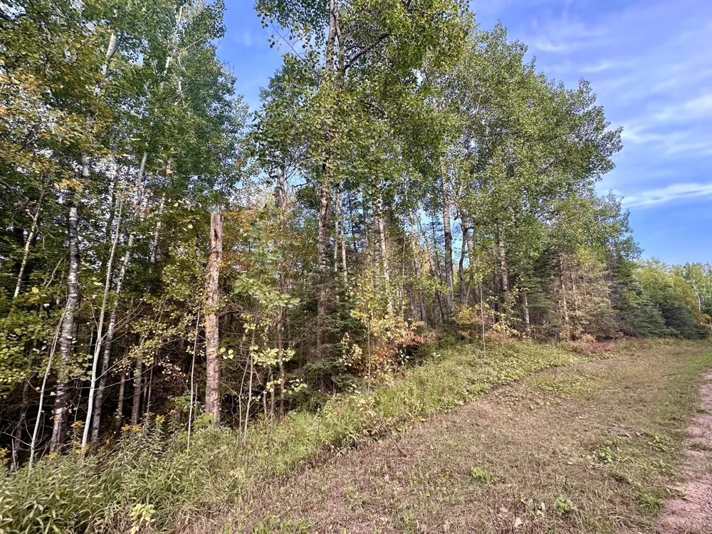 TBD Old Vermilion Trail Duluth, MN 55803