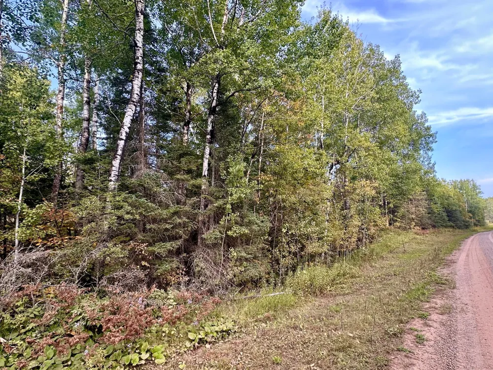 TBD Old Vermilion Trail Duluth, MN 55803
