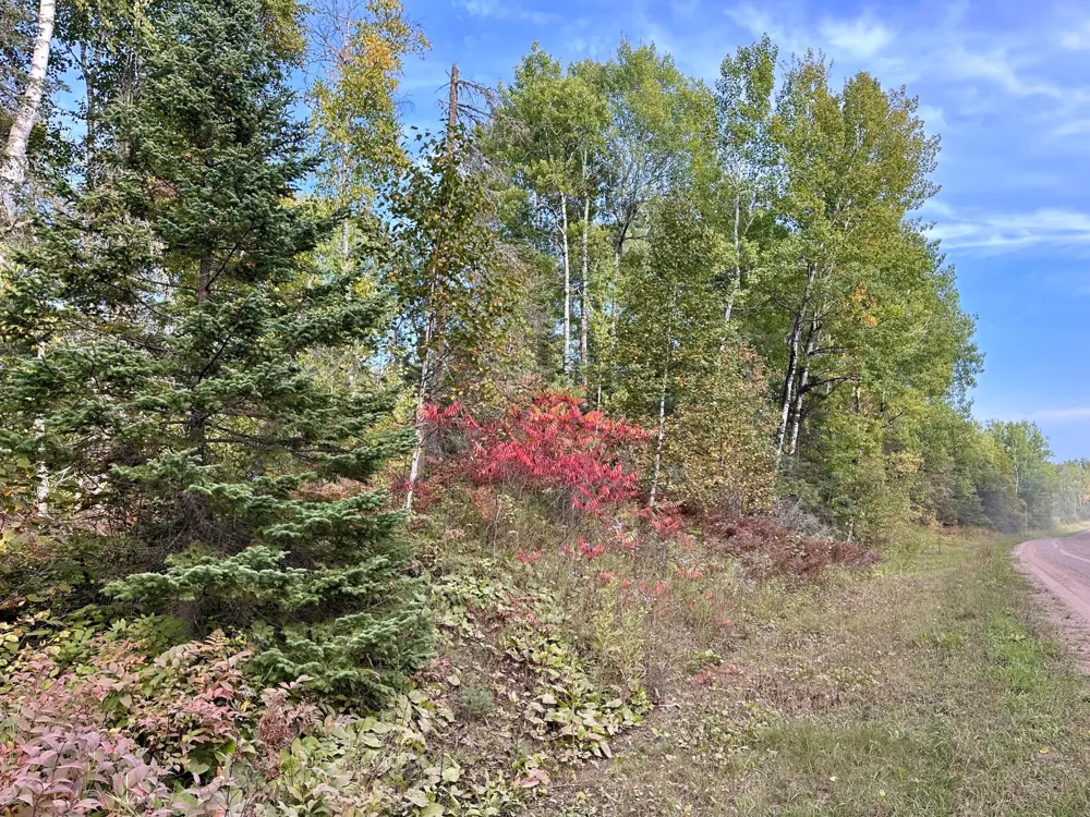 TBD Old Vermilion Trail Duluth, MN 55803