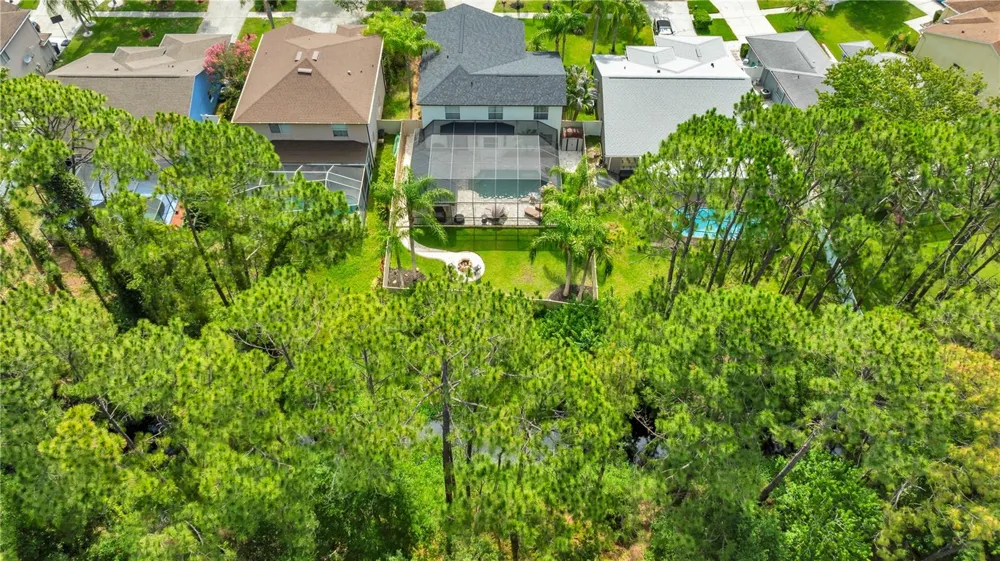 13115 ROYAL GEORGE AVENUE Odessa, FL 33556