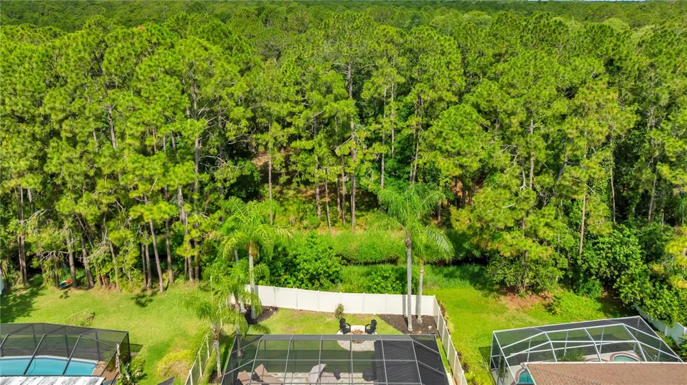 13115 ROYAL GEORGE AVENUE Odessa, FL 33556