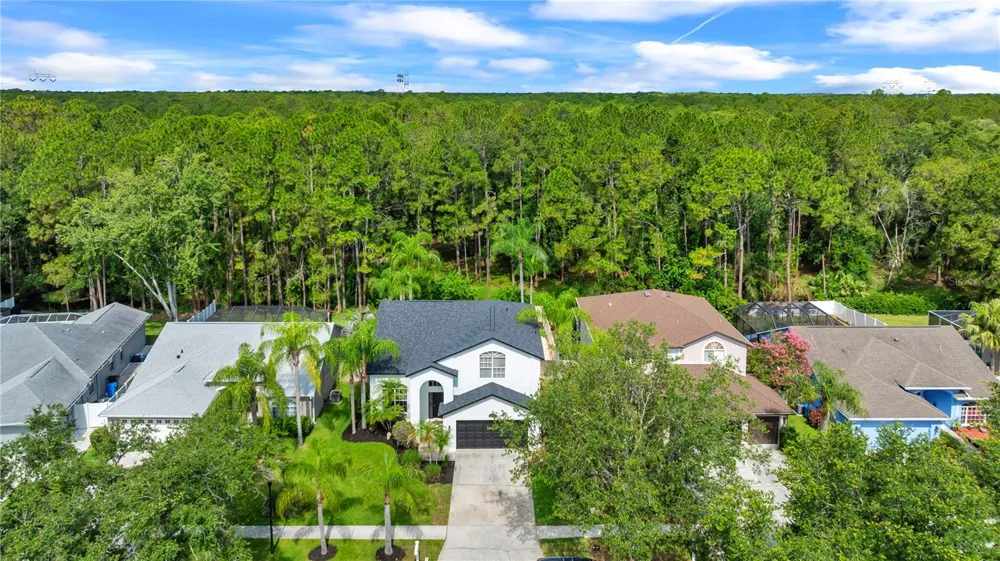 13115 ROYAL GEORGE AVENUE Odessa, FL 33556