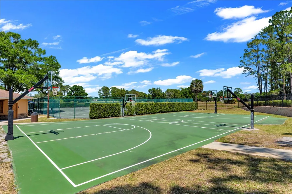 13115 ROYAL GEORGE AVENUE Odessa, FL 33556