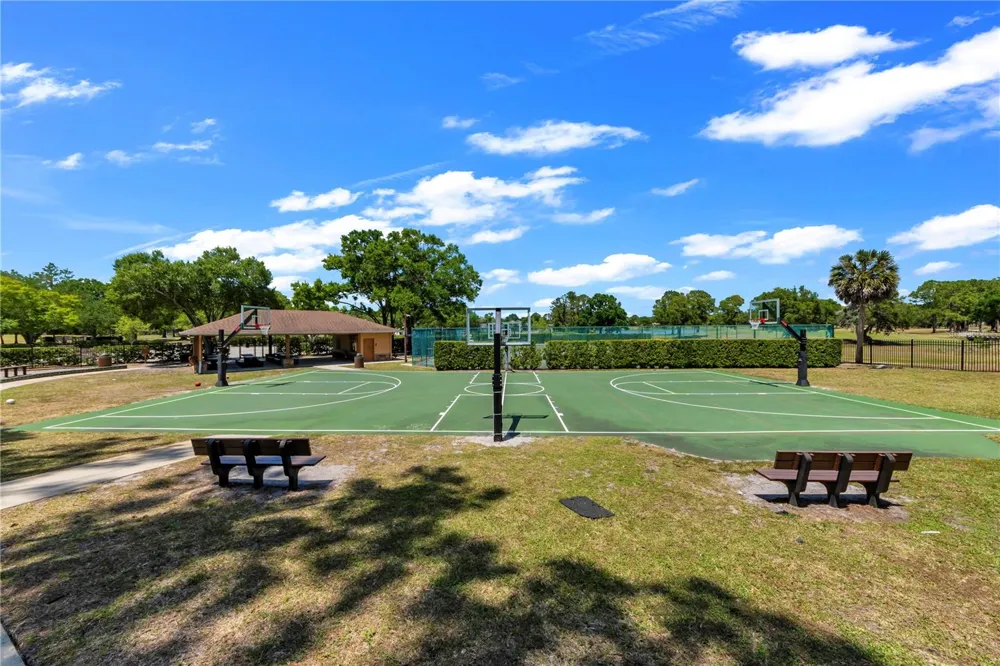 13115 ROYAL GEORGE AVENUE Odessa, FL 33556