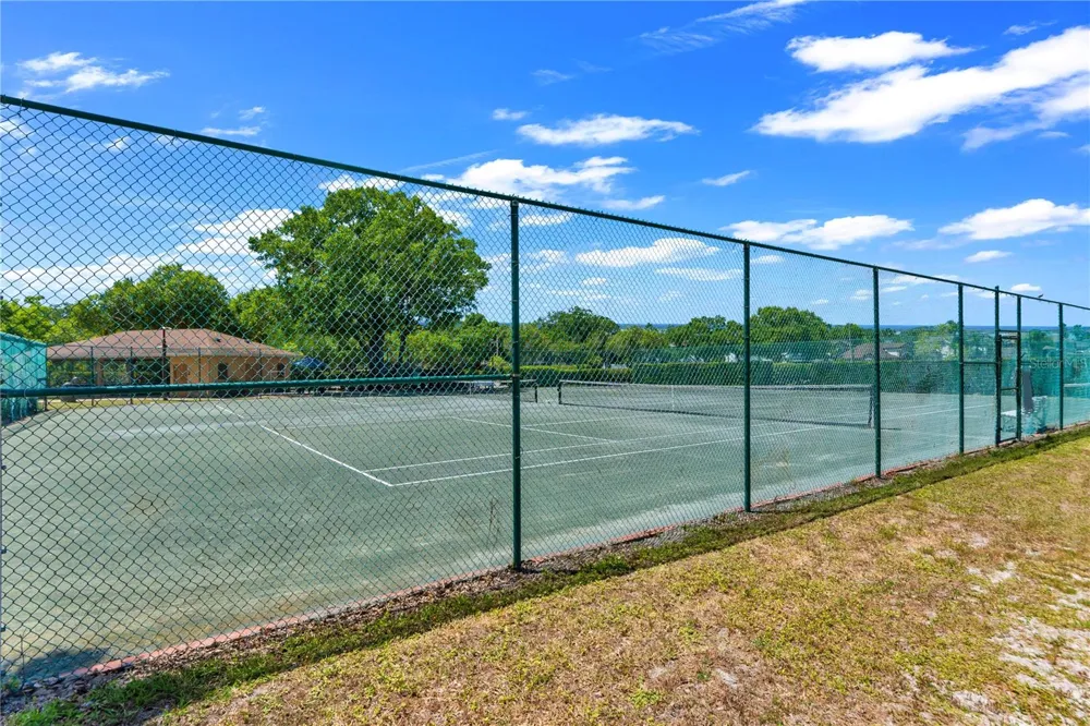 13115 ROYAL GEORGE AVENUE Odessa, FL 33556