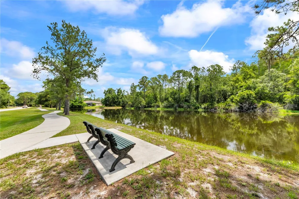 13115 ROYAL GEORGE AVENUE Odessa, FL 33556