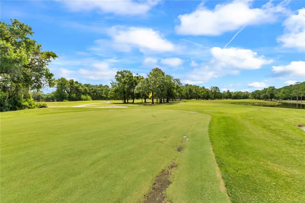 13115 ROYAL GEORGE AVENUE Odessa, FL 33556