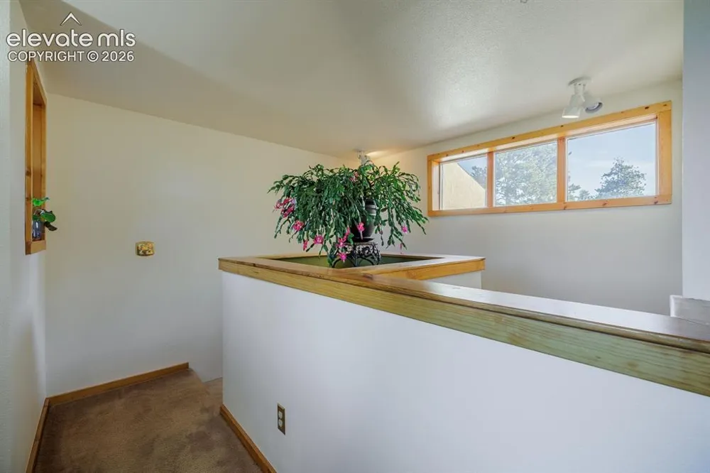 240 Crestwood Drive Woodland Park, CO 80863