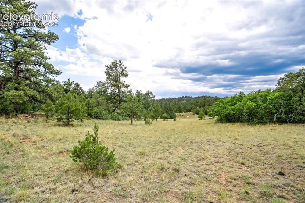 433 Antler Hill Trail Canon City, CO 81212