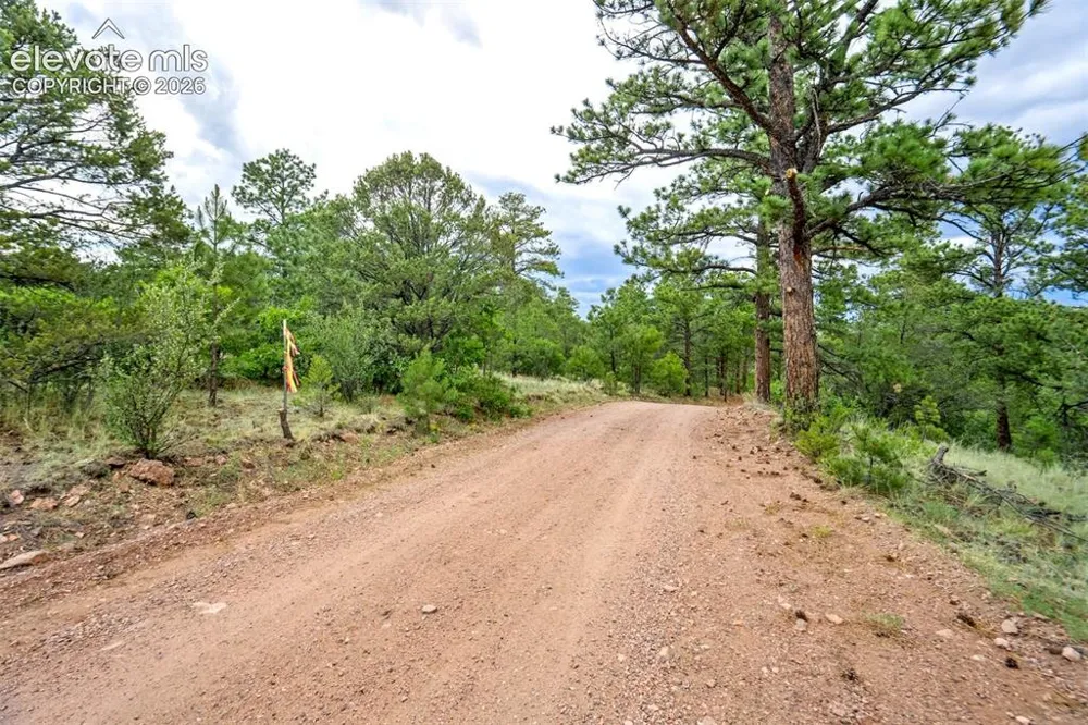 433 Antler Hill Trail Canon City, CO 81212