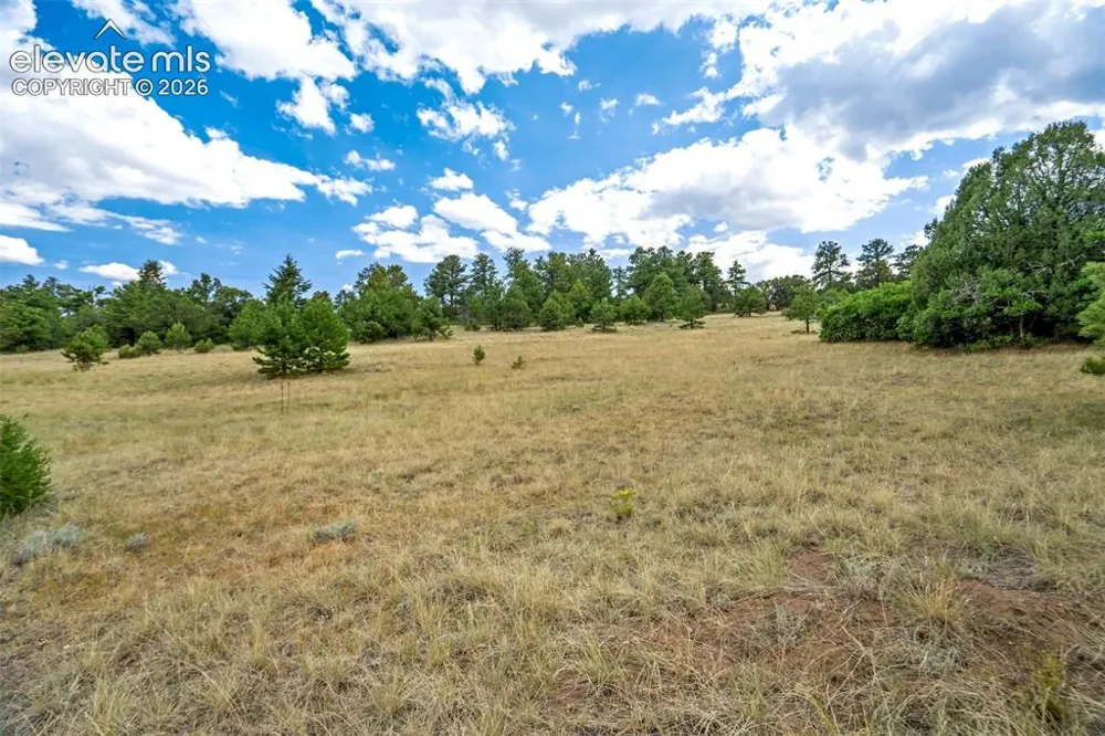 433 Antler Hill Trail Canon City, CO 81212