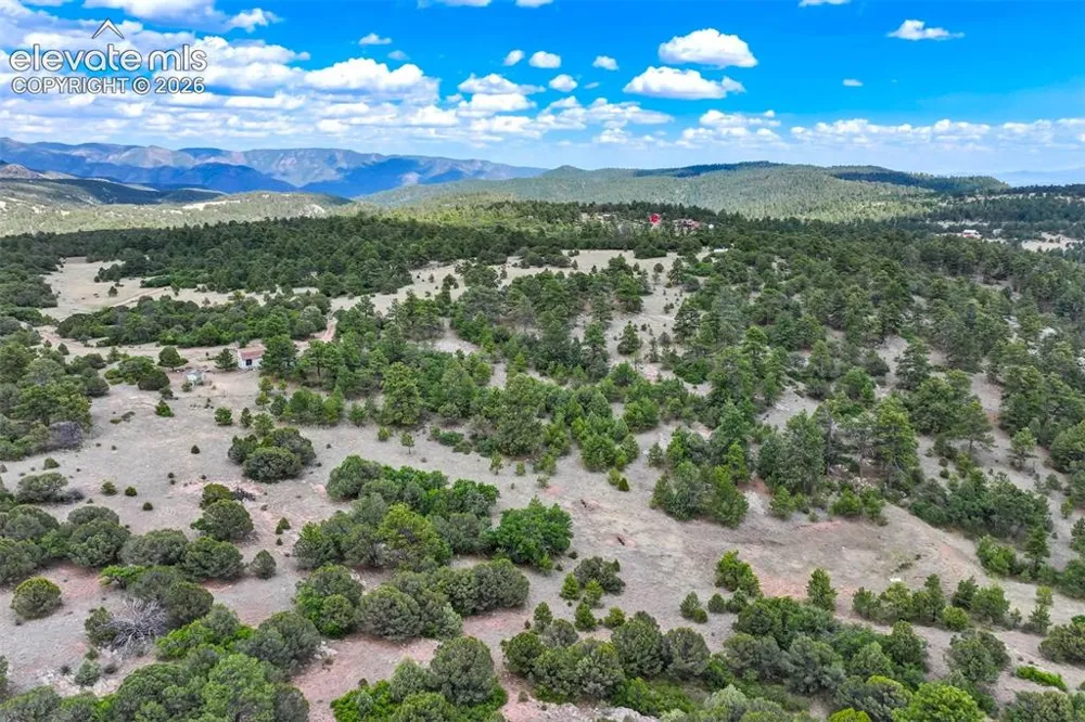 433 Antler Hill Trail Canon City, CO 81212
