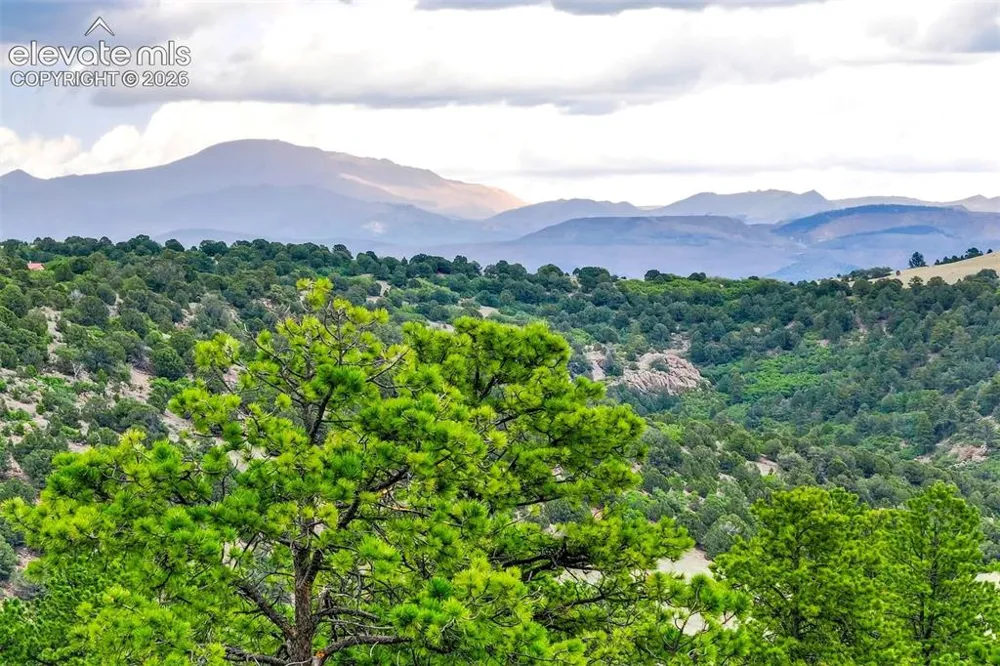 433 Antler Hill Trail Canon City, CO 81212