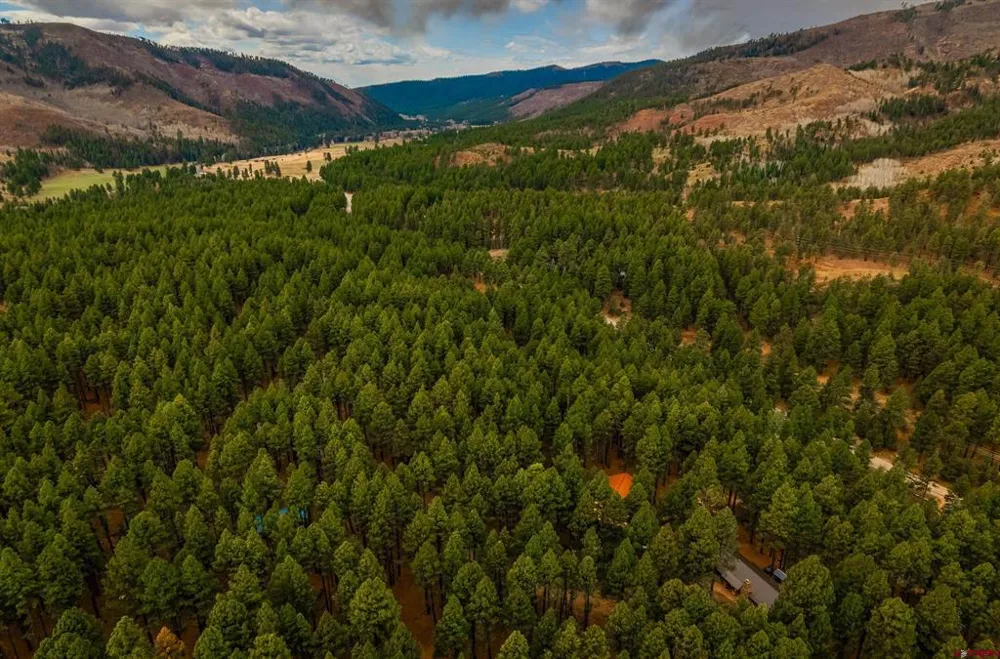 160 Easy Street Bayfield, CO 81122