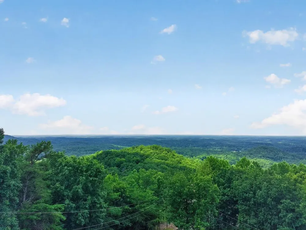 726 Railey Ridge Ranger, GA 30734