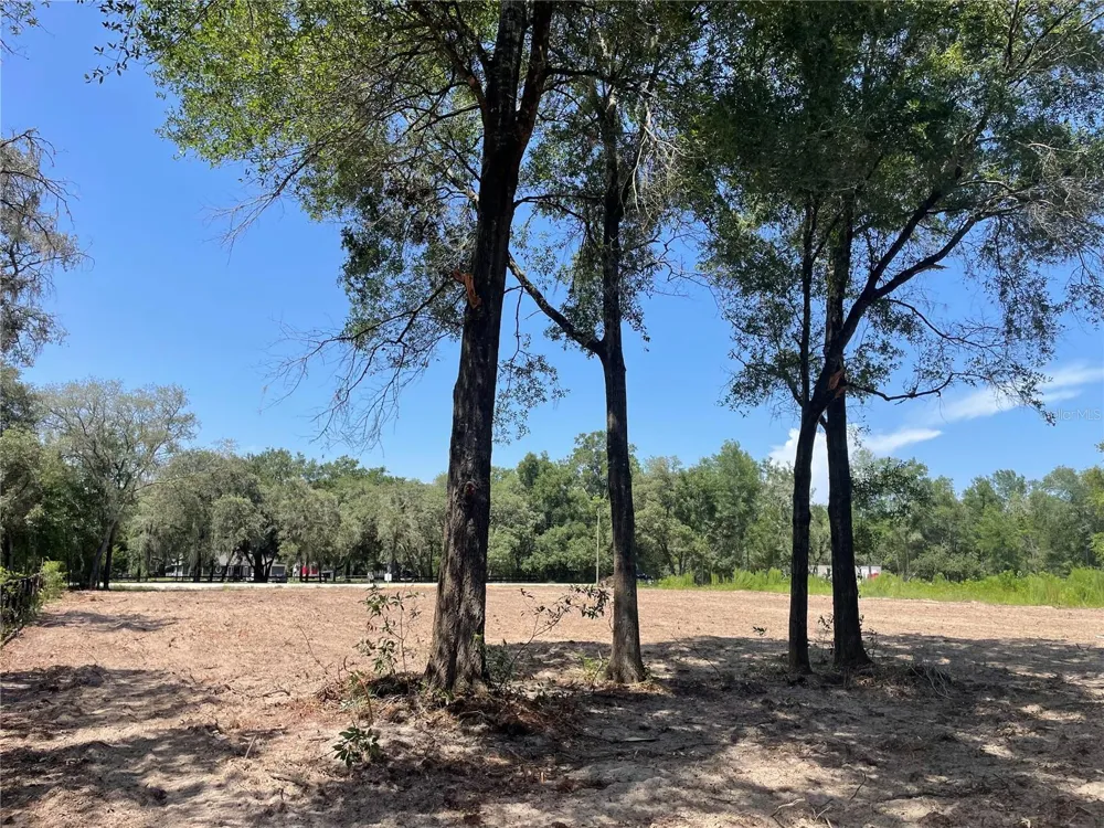 12276 SW 98TH STREET Dunnellon, FL 34432