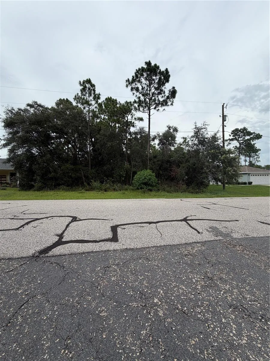 3289 W VIKING LANE Citrus Springs, FL 34433