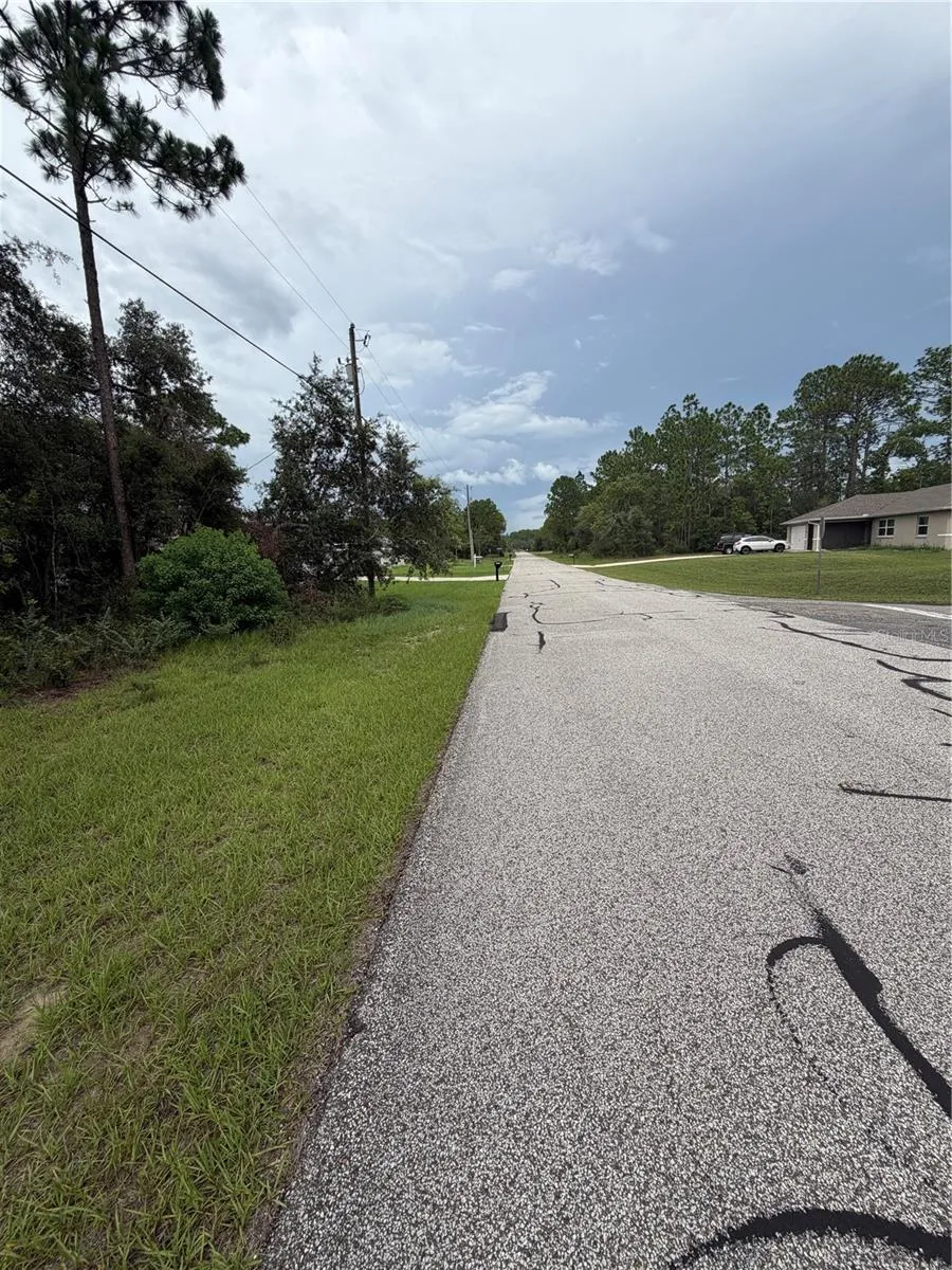 3289 W VIKING LANE Citrus Springs, FL 34433