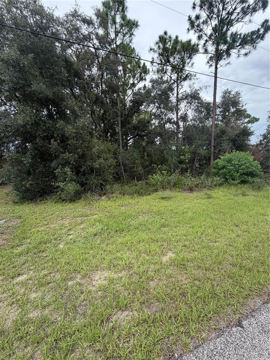 3289 W VIKING LANE Citrus Springs, FL 34433