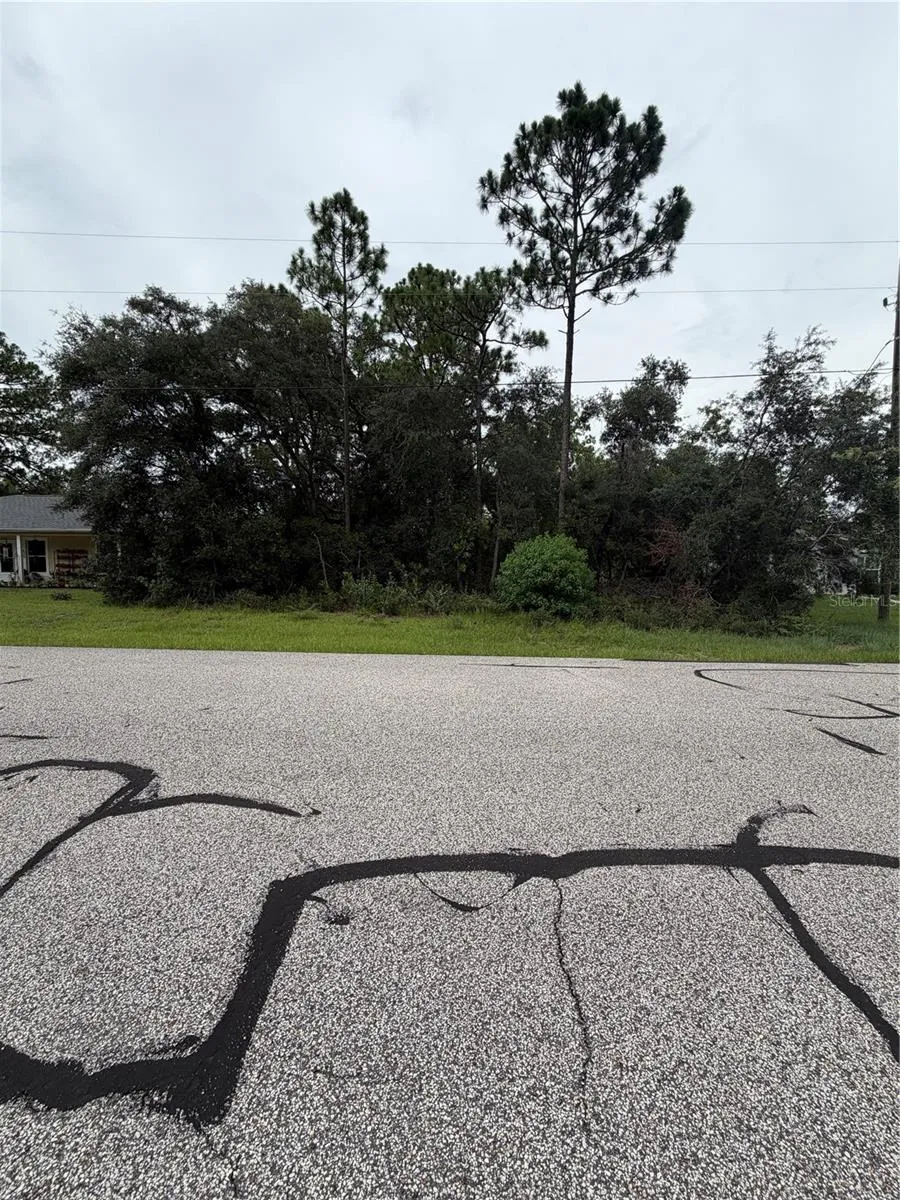 3289 W VIKING LANE Citrus Springs, FL 34433