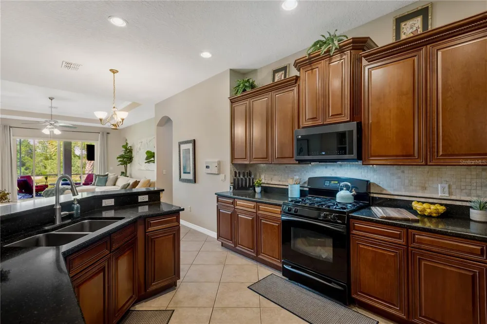 19908 BLUFF OAK BOULEVARD Tampa, FL 33647