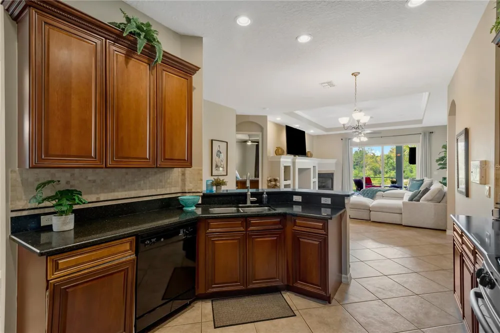 19908 BLUFF OAK BOULEVARD Tampa, FL 33647