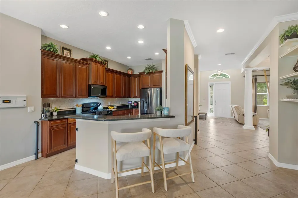 19908 BLUFF OAK BOULEVARD Tampa, FL 33647