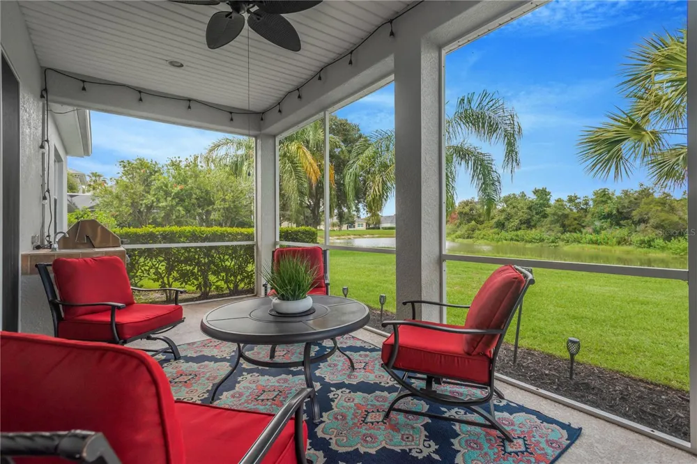 19908 BLUFF OAK BOULEVARD Tampa, FL 33647
