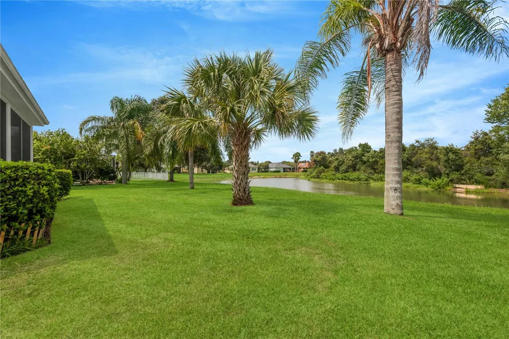 19908 BLUFF OAK BOULEVARD Tampa, FL 33647